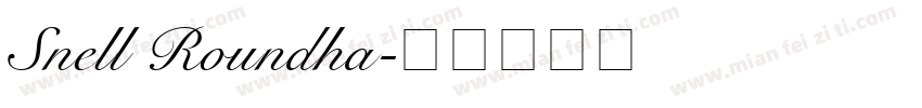 Snell Roundha字体转换